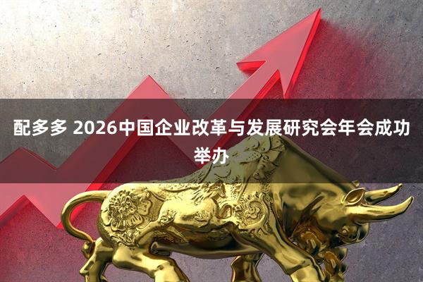 配多多 2026中国企业改革与发展研究会年会成功举办
